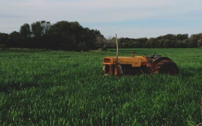 El sector primario atraviesa su ‘annus horribilis’: ¿ha dejado de ser sostenible el campo español?