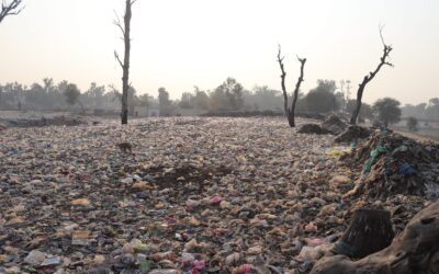 ¿Hay un plan ante la crisis climática y la falta de agua?