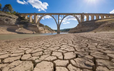 Cómo será España en 2050 | Plan Estrategia España 2050