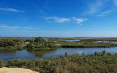 Riesgo de inundaciones en España,¿infraestructuras preparadas?